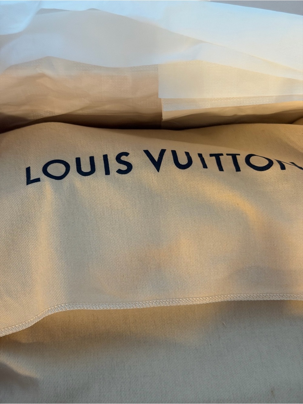 Louis Vuitton black and Grey